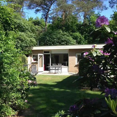 Boshuisje Veluwe