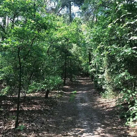 Boshuisje Veluwe